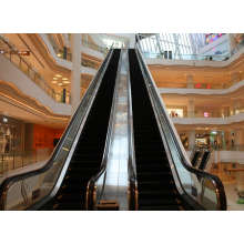 FUJI Escalator 35 Degree 600mm Step Width Escalator